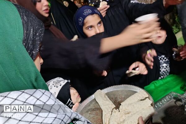 ریحانه‌های جانفدا خدمت به مهمانان امام حسین(ع) را آغاز کردند