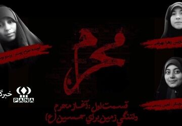 وقتی دل‌ها راهی کربلا می‌شوند
