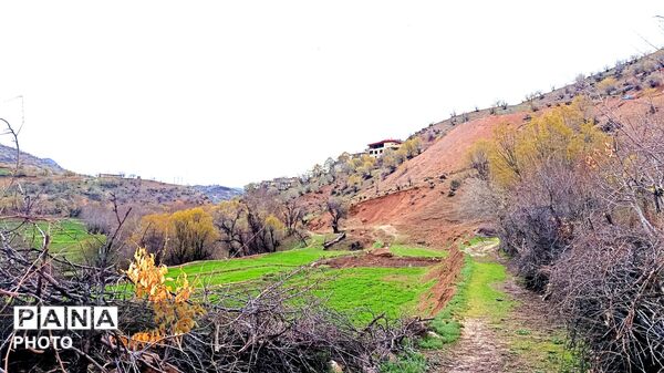 میانکوه شاهد فصل رویش گیاهان