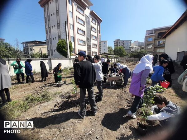 کاشت ۴۰ اصله نهال  به مناسبت چهلمین روز شهادت‌ قائد امت اسلامی ودانش آموزان میناب در تالش
