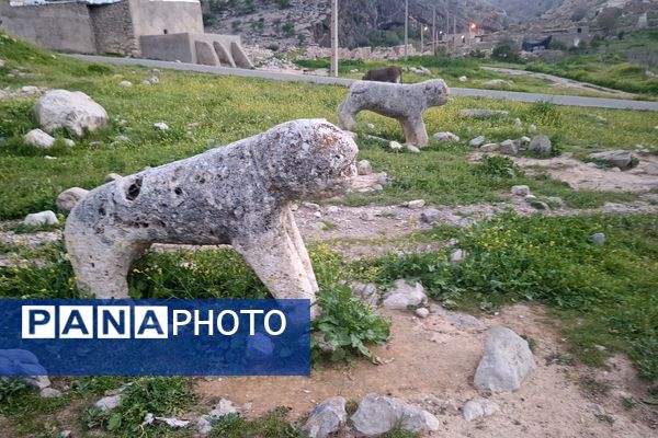 قبرستانی تاریخی و سرسبز به قدمت چند صد ساله در فارس