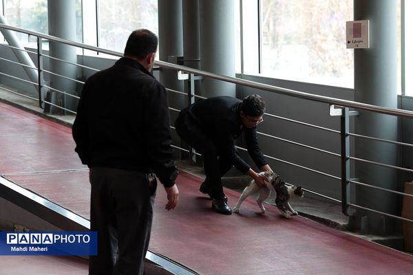 در حاشیه چهل‌وچهارمین جشنواره ملی فیلم فجر