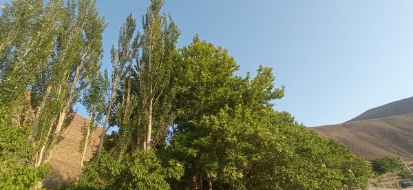 مزار گردشگری کلاته بایزید، گوهر پنهان طبیعت در دل کوهستان 