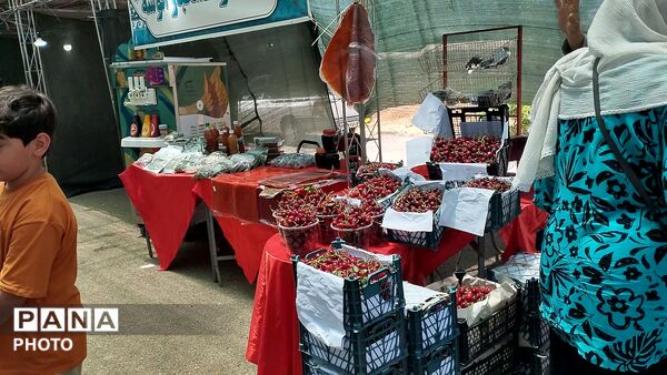 ششمین دوره بازارچه گیلاس و صنایع دستی روستای فشند ساوجبلاغ 