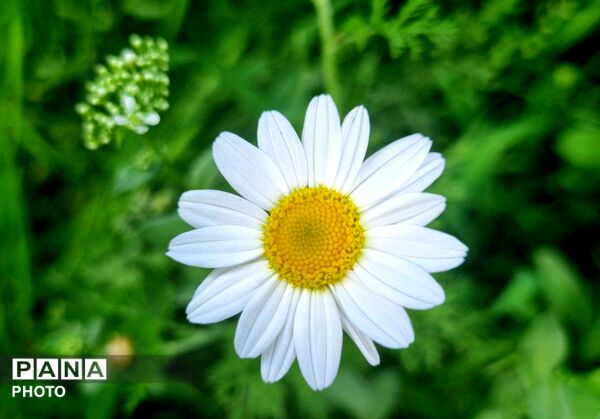 وانان؛ جایی که طبیعت خودش را آشکار می‌کند
