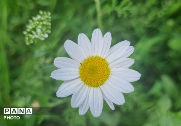 وانان؛ جایی که طبیعت خودش را آشکار می‌کند