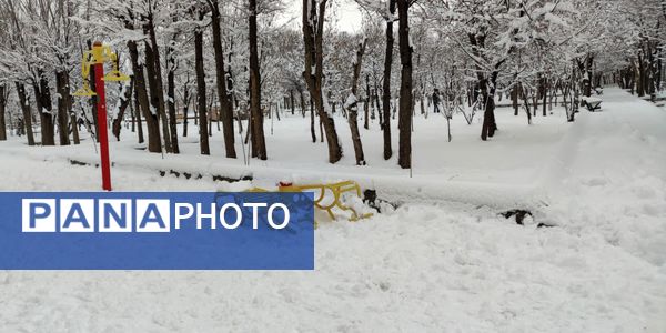 سکوت برفی بروجن، قلب شهر را به تپش انداخت