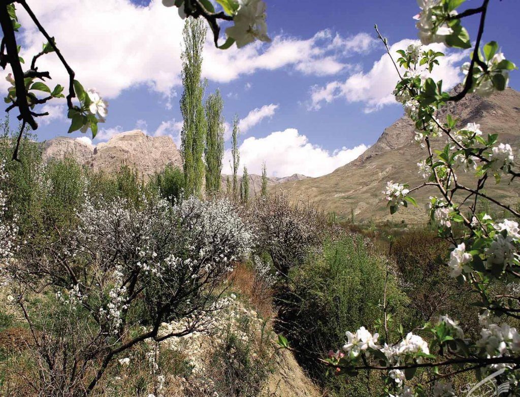 آشنایی با شهر زیبای بار نیشابور 