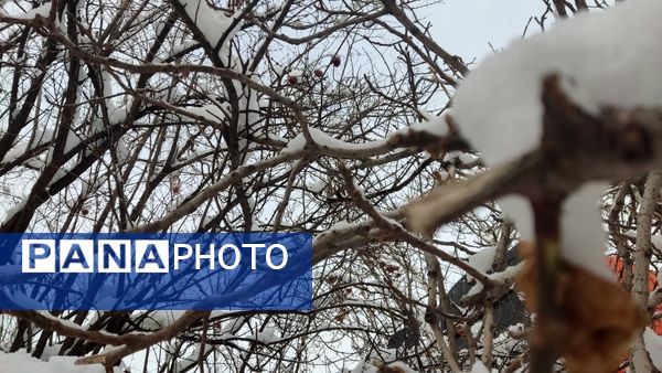 خراسان رضوی به استقبال زمستان رفت