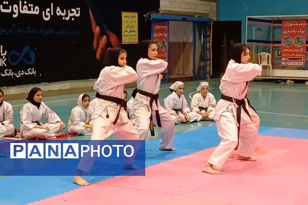 برگزاری مسابقات بانوان پرشین کیوکوشین قهرمانی استان تهران به میزبانی شهرستان ورامین 