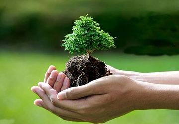 رویای یک ایران سبزتر