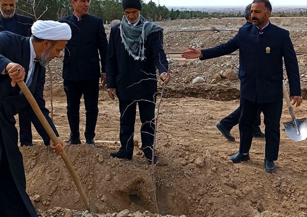 کاشت درخت توسط خادمیاران رضوی در شهرستان خلیل‌آباد 