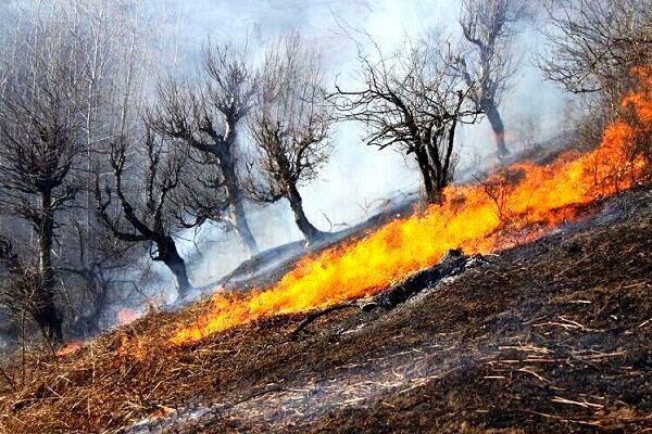 لزوم نظارت بر نحوه مدیریت اطفای حریق در عرصه‌های منابع طبیعی