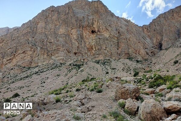 کوه های شهر بار ذخیره‌گاه گیاهان ارزشمند و کم نظیر دارویی 