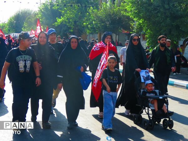 نبض دلتنگی در مسیر عاشقی