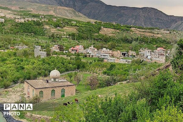 حال و هوای شهر بار بعد از بارش زیبای باران 