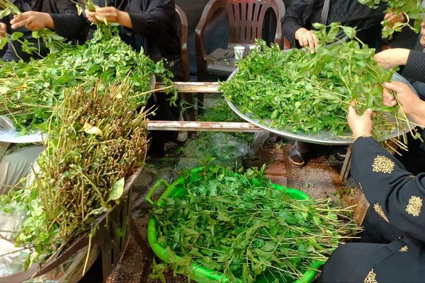 عشق به حسین (ع) سالار شهیدان کربلا چه میکند 