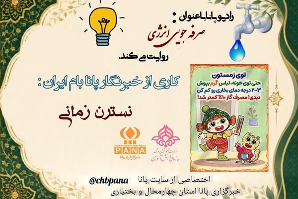 صرفه‌جویی در انرژی 