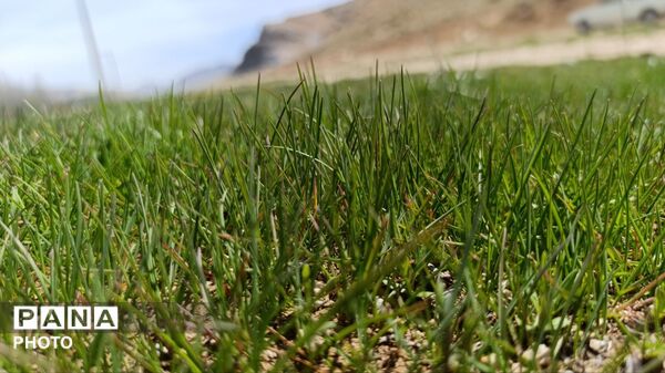 بردنکان؛ یکی دیگر از جاذبه های گردشگری روستای ده‌چشمه