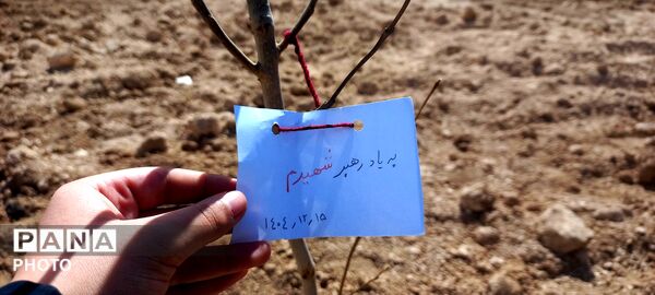 روز درختکاری در شهرکرد 