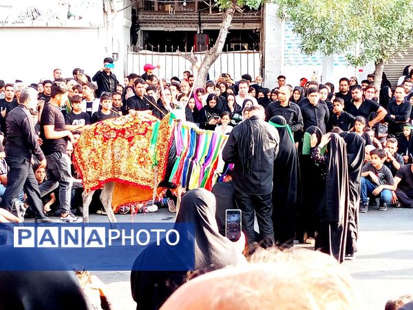 حرکت نمادین کاروان بندی اسد روستای فدافن و آیین نخل گردانی در کاشمر 