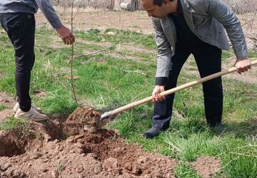 کاشت نهال در اردوگاه شهید رجایی شهرستان نیشابور