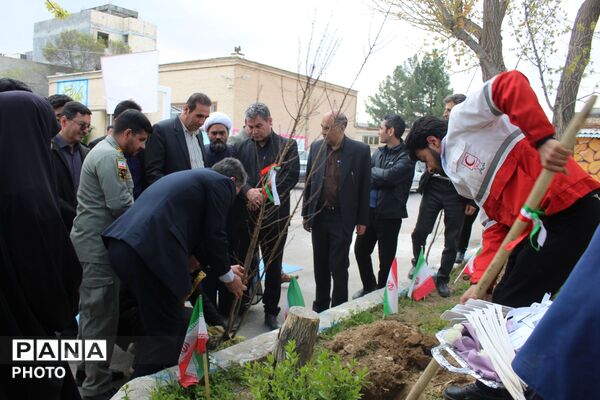کاشت نهال همزمان با چهلمین روز شهادت فرشتگان میناب 