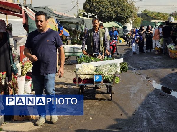 حال و هوای خاص در بازار گل محلاتی