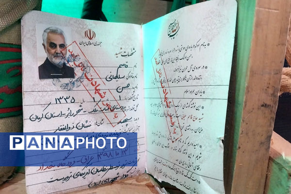 استان فارس بر قله افتخار شهادت