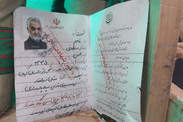استان فارس بر قله افتخار شهادت