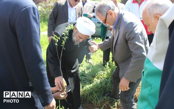 آیین درختکاری در سملقان