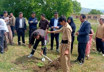  غرس ۱۲ نهال به یاد شهدای جنگ رمضان و رهبر شهید انقلاب در روستای الک