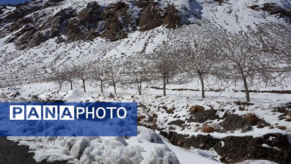 بارش برف در روستای اصقول سربیشه