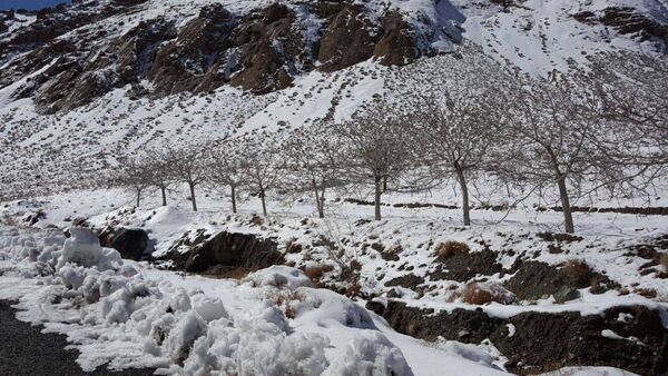 بارش برف در روستای اصقول سربیشه