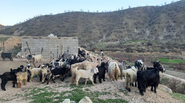 گذری بر روستای «بیدله» در لردگان