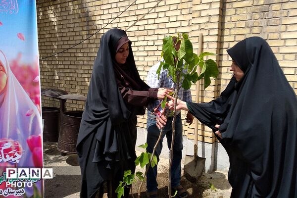 کاشت نهال به یاد یاسمن‌های میناب و شهیده دانش‌آموز نازنین زهرا سیفی 