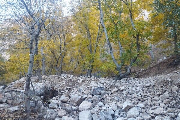 فصل زیبای پاییز در شهر بار نیشابور 