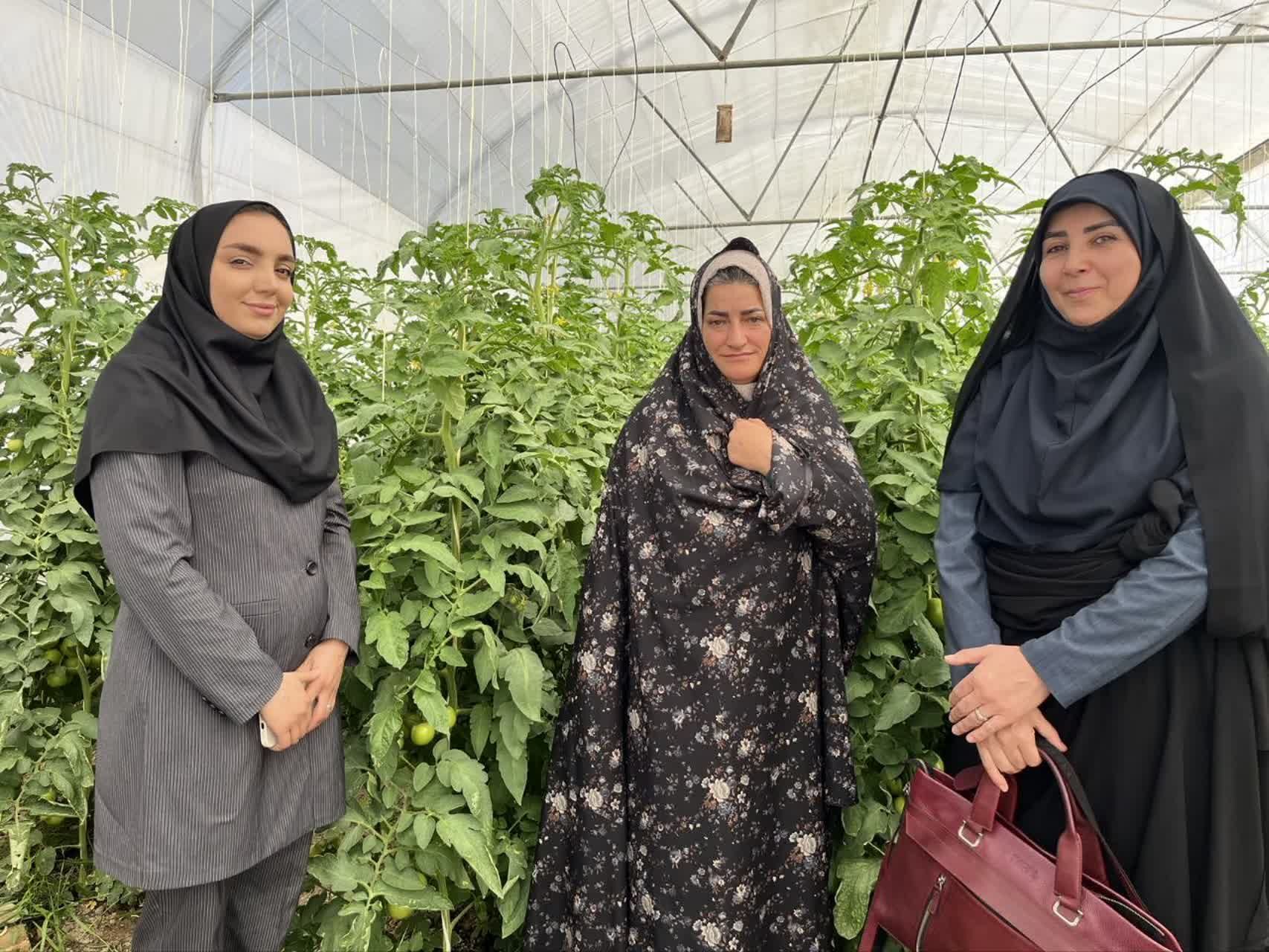 مدیرکل امور بانوان استانداری همدان از گلخانه خانگی بانوی کارآفرین درگزینی بازدید کرد 