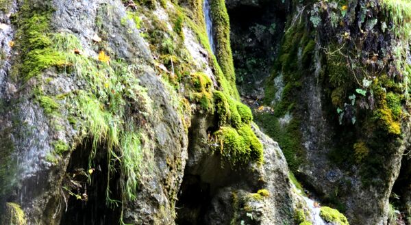 طبیعت بکر باران کوه استان گلستان
