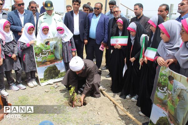 کاشت ۱۶۸ نهال به یاد شهدای مظلوم مدرسه شجره طیبه میناب توسط دانش‌آموزان شهرستان کهنوج