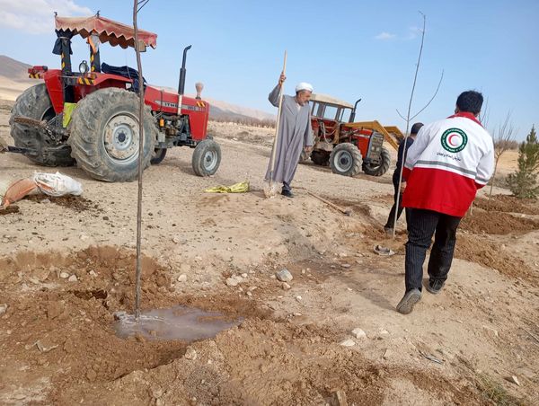 کاشت نهال در آرامستان روستای گزکوه