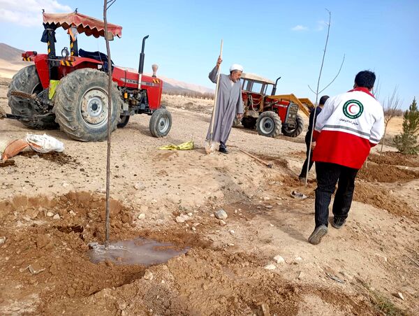 کاشت نهال در آرامستان روستای گزکوه
