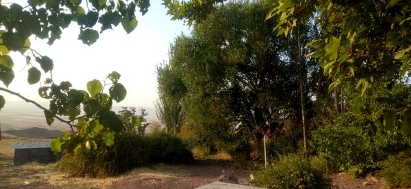 مزار گردشگری کلاته بایزید، گوهر پنهان طبیعت در دل کوهستان 