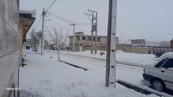عروس فصل‌ها باری دیگر مهمان شهرستان بن