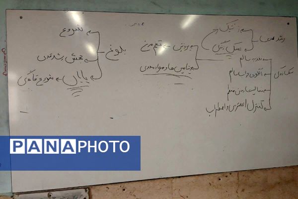 جشنواره صبحانه سالم در فجر چهل و هفتم