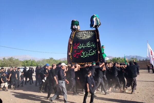 نخل‌برداری روز عاشورا در روستای صالح آباد شهرستان تفت