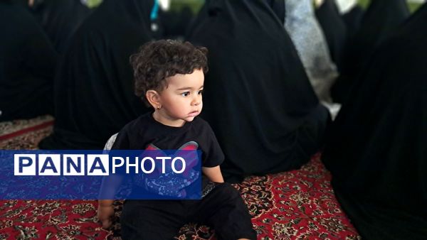 برگزاری نماز جمعه در شهرستان کاشمر 