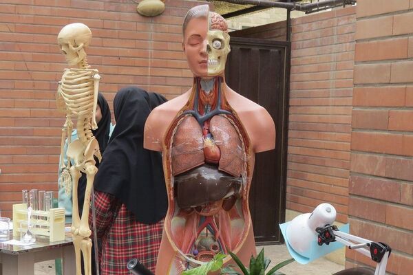 مراسم هفته پژوهش در دبیرستان بانو عفت آهنگری شهرری
