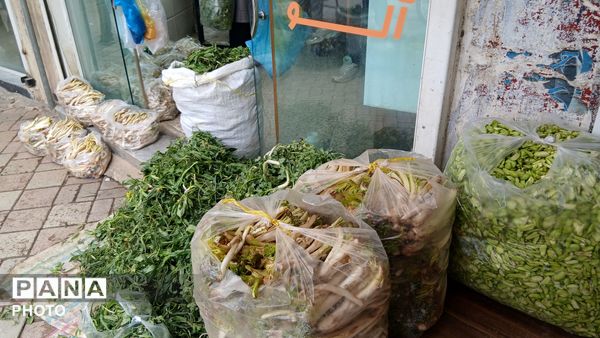 عطر بهار در کوهستان های تویسرکان؛ رویش سبزیجات