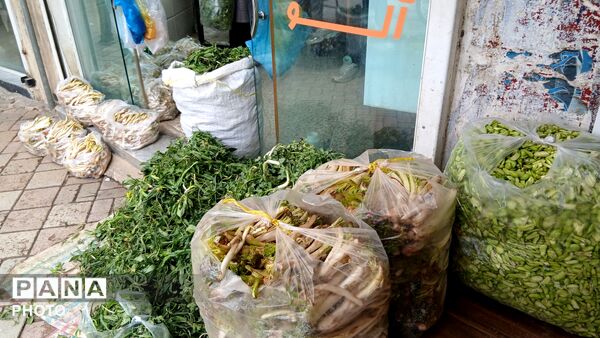 عطر بهار در کوهستان های تویسرکان؛ رویش سبزیجات